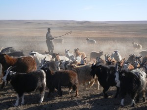 Beim Schaffangen
